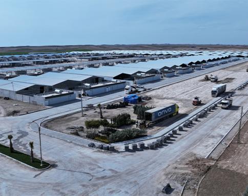 Megal Project - Slaughter House